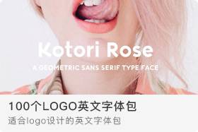 100个LOGO英文字体包 100个LOGO英文字体包