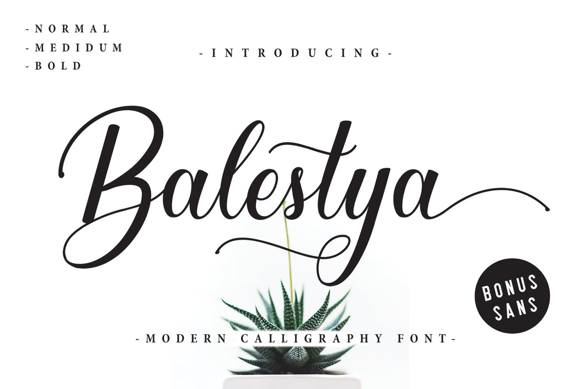 Balestya现代手写花体连笔英文字体素材下载