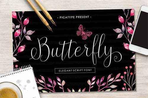 Butterfly Script手写连笔花式英文字体下载