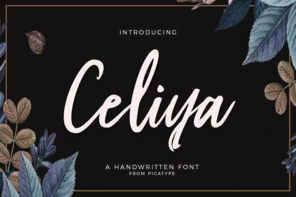 Celiya-装饰画主题-手写连体-英文字体下载
