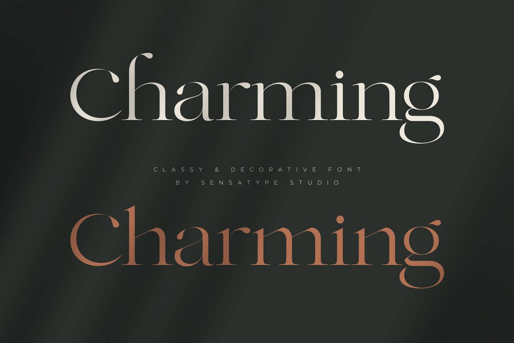 Charming-排版平面设计-衬线字体-英文字体下载