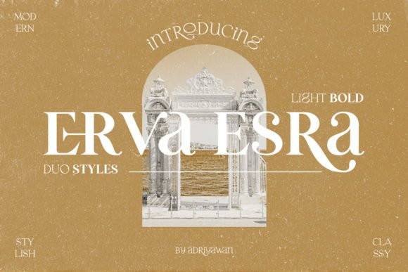 ErvaEsra-复古经典设计-衬线字体-英文字体下载