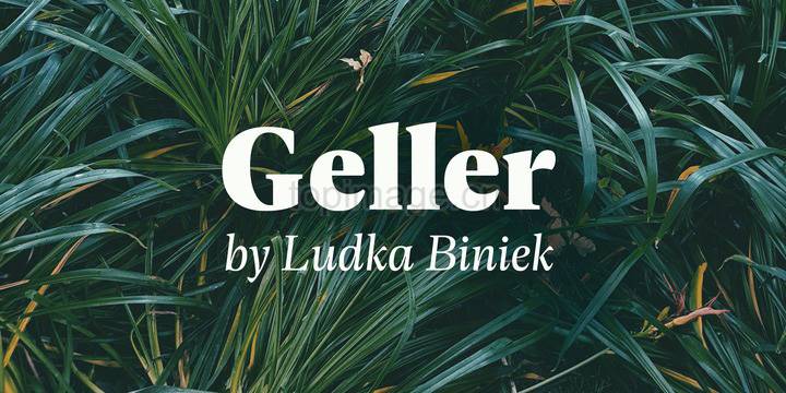 Geller大气稳重logo设计现代衬线英文字体下载