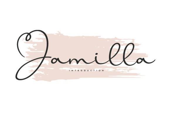 Jamilla手写连笔网红水印摄影师logo设计英文字体下载