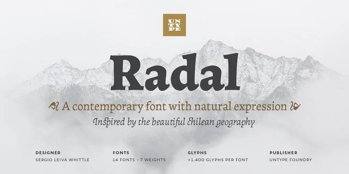 Radal现代logo名片排版平面设计英文字体下载