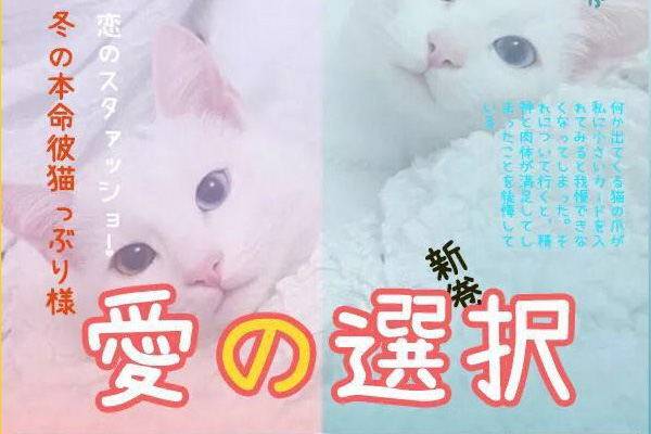 2020免费可商用免版权中英文字体整理打包下载 SetoFon.jpg
