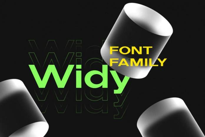 Widy-平面杂志排版-现代无衬线-英文字体下载大全