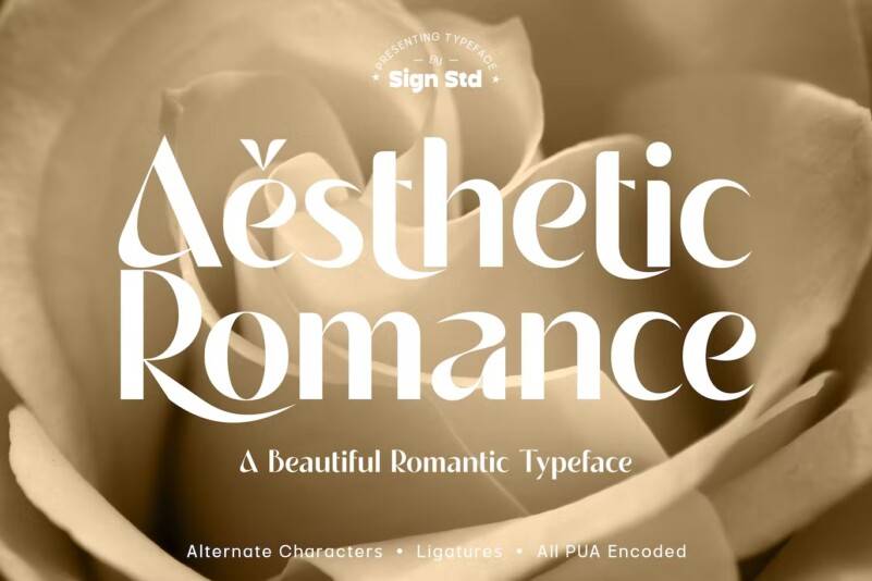 index Aesthetic Romance好看的现代无衬线英文字体下载