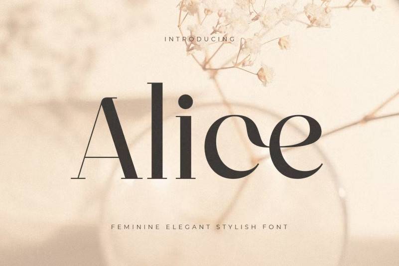 Alice-高端衬线logo设计-英文字体下载