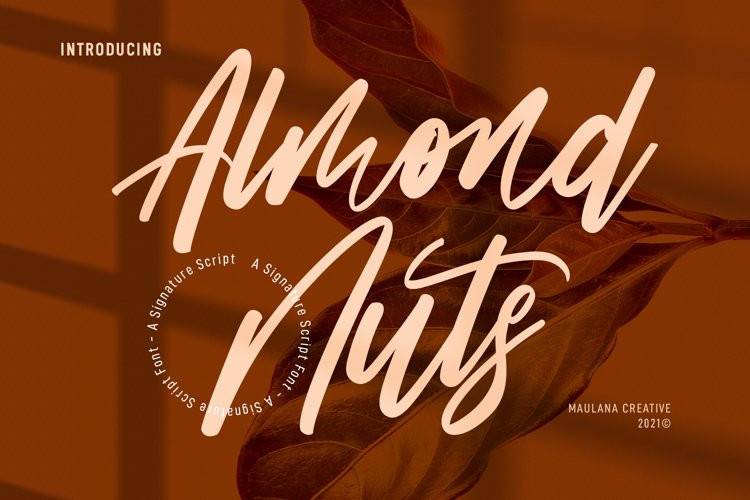 Almond Nuts-手写连笔时尚艺术设计-英文字体下载