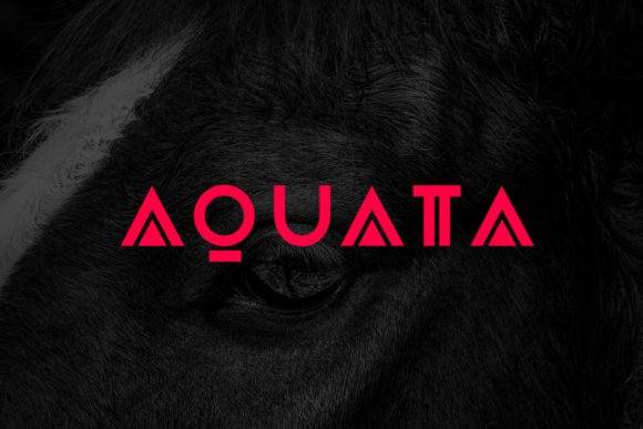 Aquata Display Bold-大气标题现代无衬线-英文字体下载