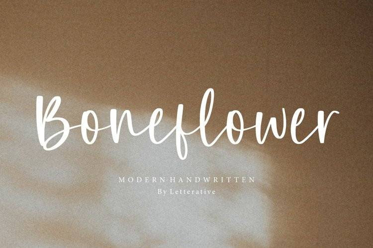 Boneflower-现代手写连笔艺术-英文字体下载