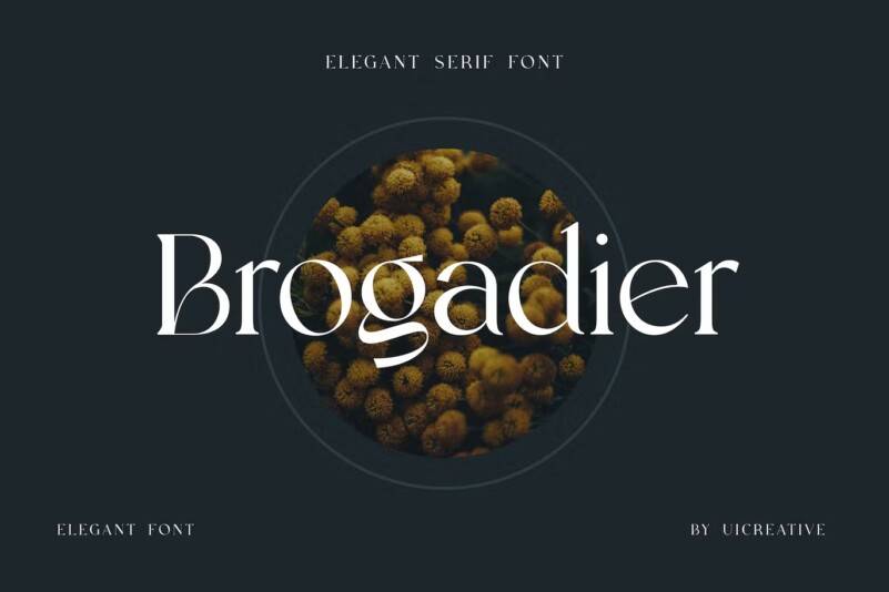 index Brogadier轻奢衬线英文字体下载