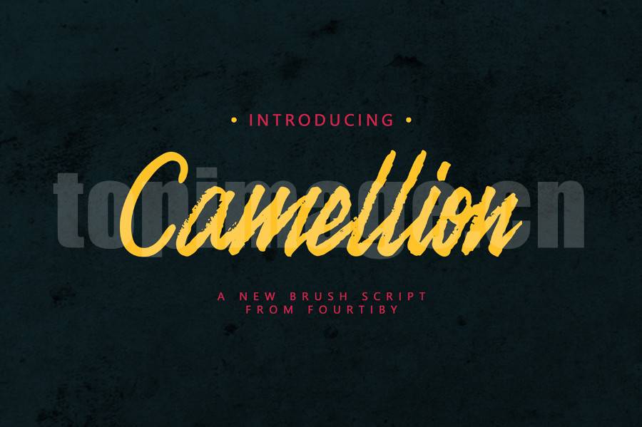 camellion手写手绘英文字体下载