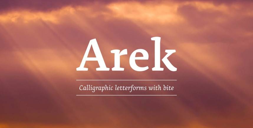 Arek Font Family 衬线字体 英文字体免费下载