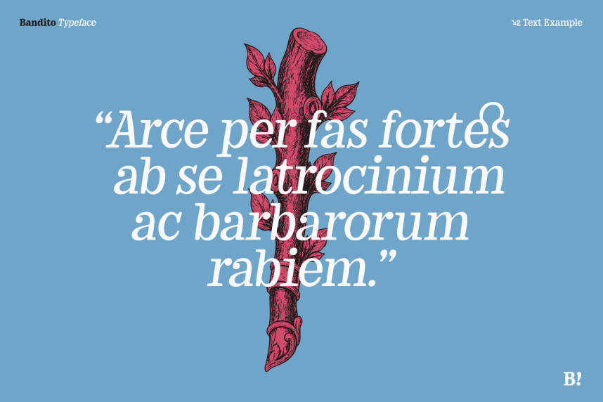 Bandito – Variable Serif Typeface 衬线字体 英文字体免费下载