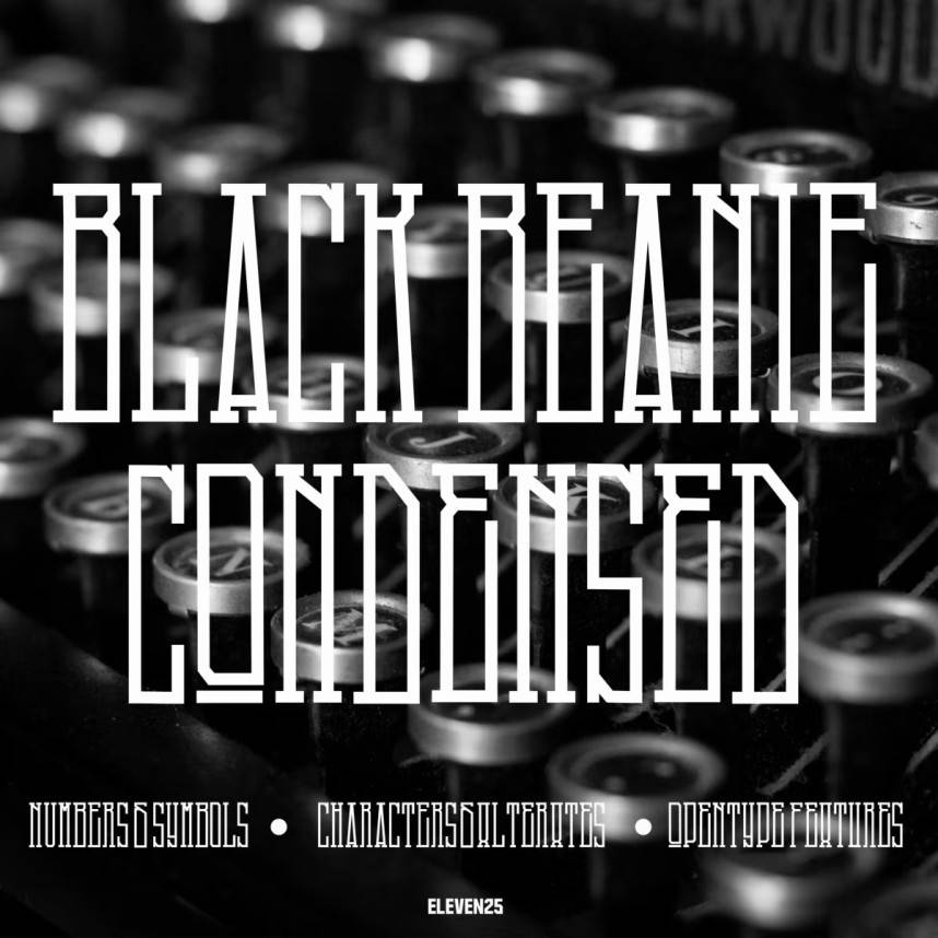 index Black Beanie Condensed 衬线字体 英文字体免费下载