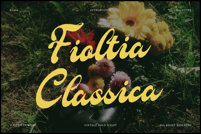 index Fioltia Classica | Vilntage Bold Script 花体英文 英文字体免费下载