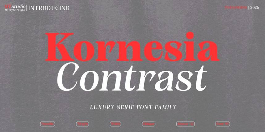 index Kornesia Contrast 衬线字体 英文字体免费下载