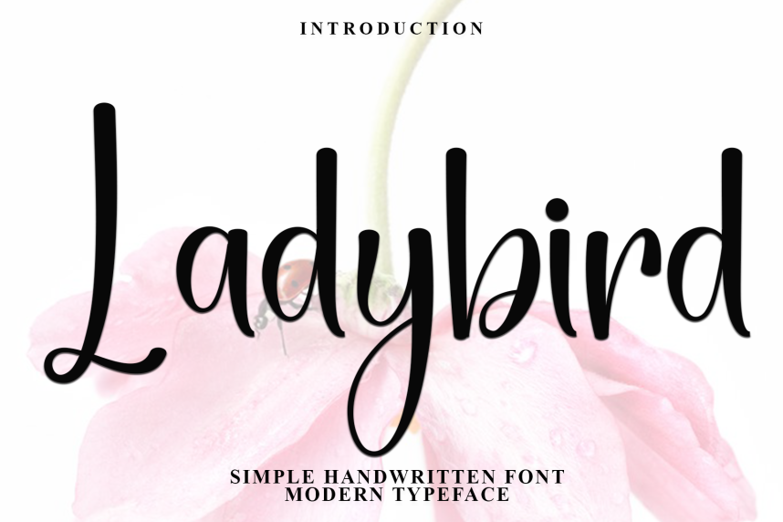 index Ladybird Handwritten 花体英文 英文字体免费下载