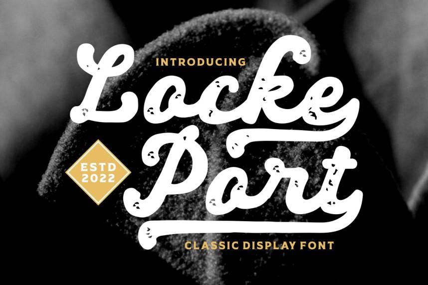 index Locke Port – Modern Script 花体英文 英文字体免费下载