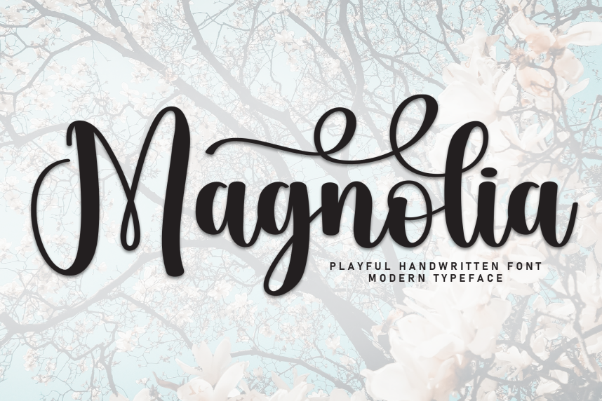 index Magnolia Calligraphy Script 英文手写 英文字体免费下载