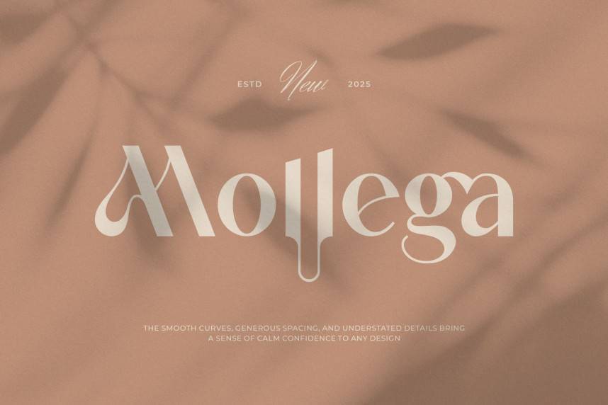 index Mollega || Modern Minimalist Sans Serif 现代无衬线 英文字体免费下载