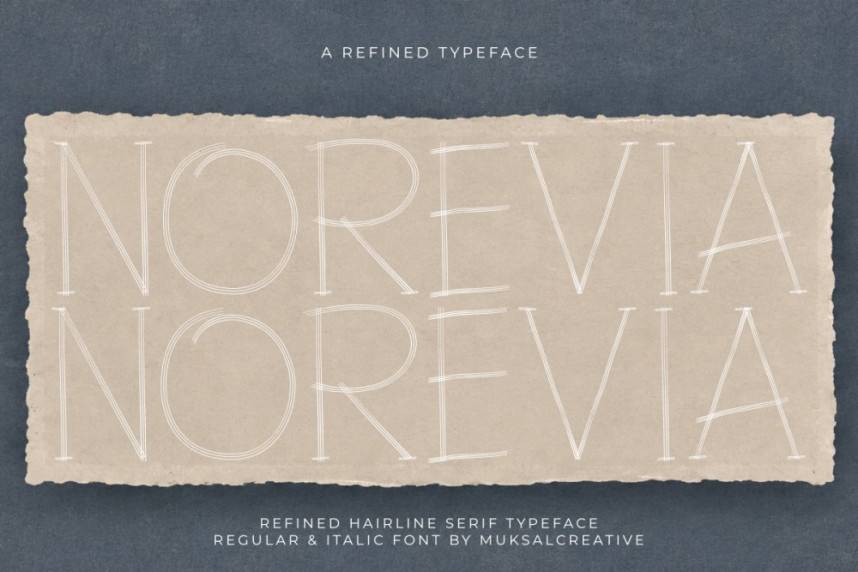 index NOREVIA — Elegant Hairline Serif 衬线字体 英文字体免费下载
