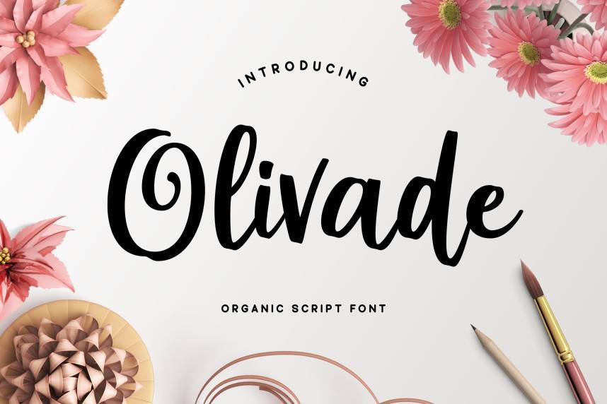 index Olivade Script 花体英文 英文字体免费下载