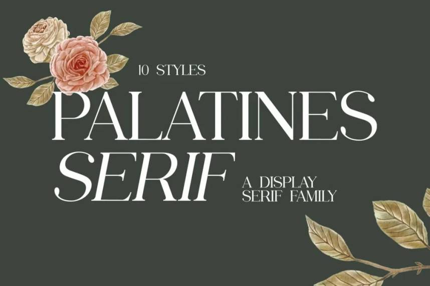 index Palatines Serif Classic Fancy 衬线字体 英文字体免费下载