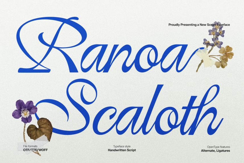 index Ranoa Scaloth | Handwritten Script 英文手写 英文字体免费下载