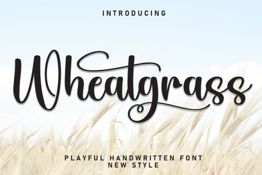 index Wheatgrass Modern Script 英文手写 英文字体免费下载