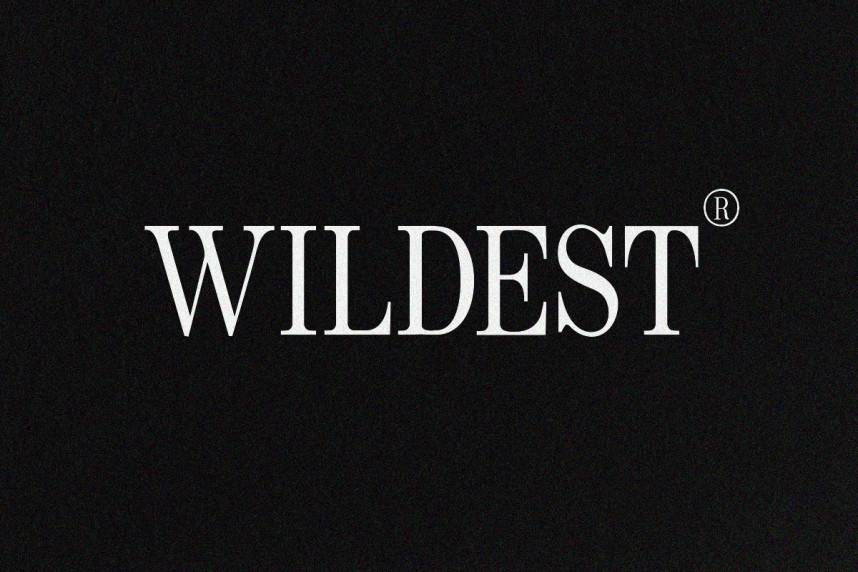Wildest Serif 衬线字体 英文字体免费下载