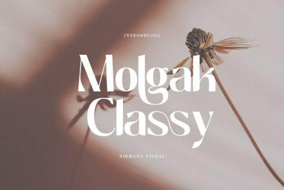 Molgak Classy -经典衬线logo设计-英文字体下载