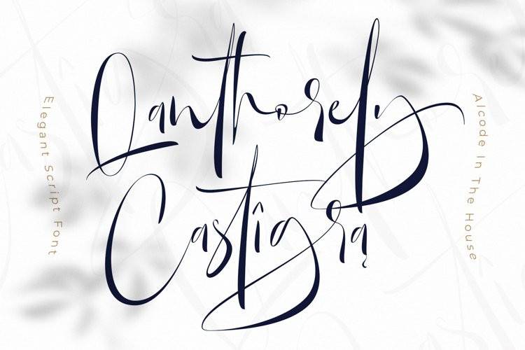 Qanthorely Castigra手写连笔书法字英文字体下载