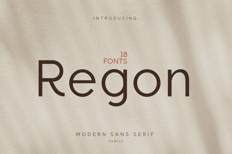 Regon-现代高端优雅-无衬线logo设计-英文字体下载