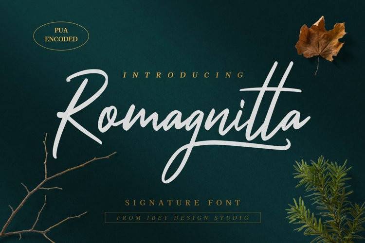 Romagnitta-手写连笔-艺术签名设计-英文字体下载