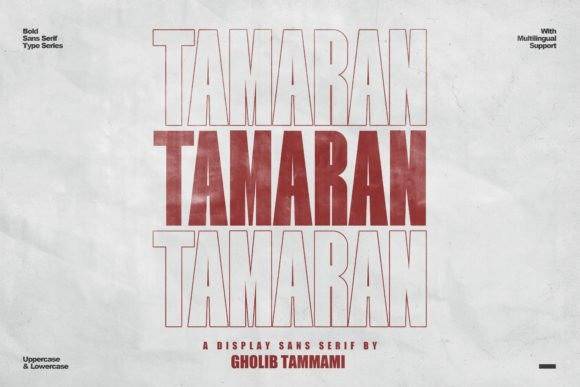 Tamaran-等宽现代无衬线动感-英文字体下载