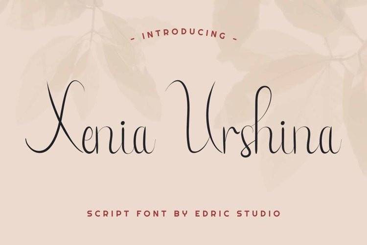 XeniaUrshina-花体手写连笔艺术-英文字体下载